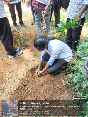 World Environment Day 2025