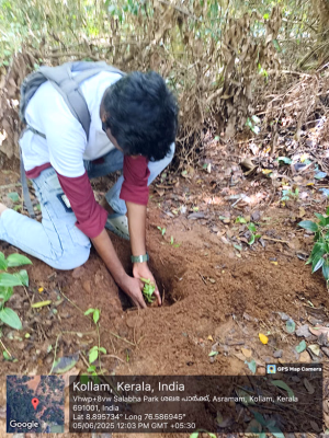 World Environment Day 2025