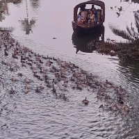 A Day of Discovery: Midday Canoe Cruise Through Kumarakom Backwaters with Adele and Natalia