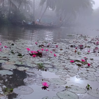 Green Waters, Greener Choices: How Canoe Rides and Kayaking Promote Sustainable Travel in Kumarakom