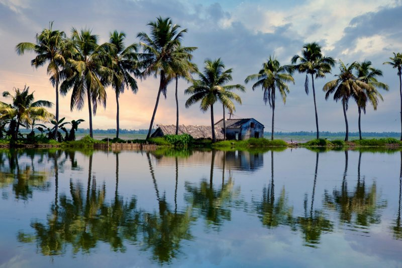 Midday Cruise with Village Life, Local Food & Cooking Class