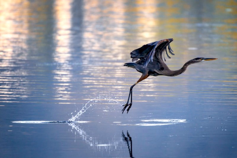 Midday Cruise with Village Life