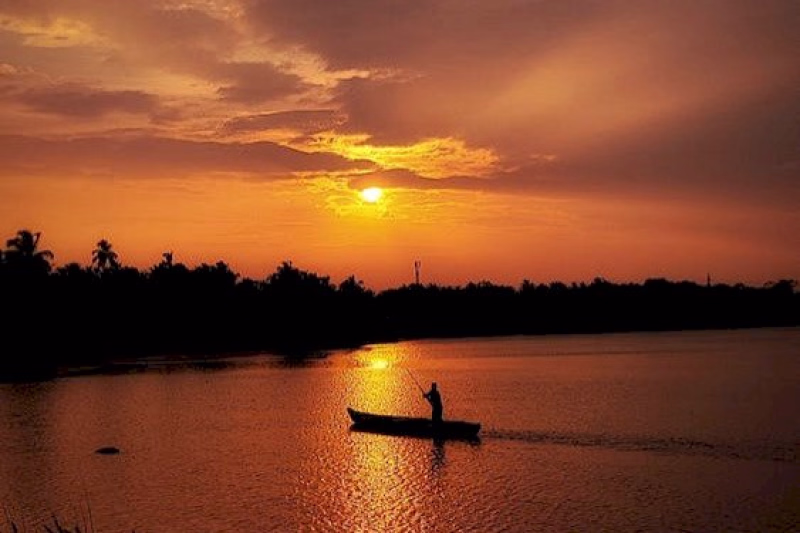 Experiential Dinner Cruise in the Kumarakom Canals