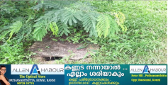  റവന്യൂ ടവറിലെ പൈപ്പിൽ ഒഴുകുന്നത് മലിനജലം