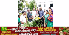 ക​ല​ക്ട​റു​ടെ ഔ​ദ്യോ​കി​ക വ​സ​തി​യി​ൽ ന​ഗ​ര​സ​ഭ ഹ​രി​ത കർമസേനയുടെ ഓണം വിളവെടുപ്പ് 