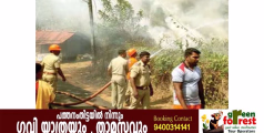 ഞാലിക്കണ്ടം സ്‌കൂളിന് സമീപം പുരയിടത്തിന് തീപിടിച്ചു