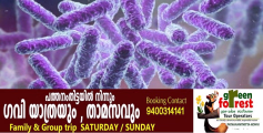 കോഴിക്കോട് ഷിഗല്ല ഭീതിയിൽ; മൂന്നര വയസ്സുകാരി മരിച്ചു, കൂടുതൽ കുട്ടികൾക്ക് രോഗലക്ഷണം