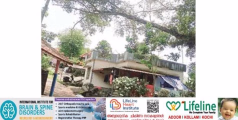 ആൽമരത്തിന്റെ കൊമ്പുകൾ എം.ടി.എൽ.പി. സ്കൂളിലെ വിദ്യാർഥികൾക്കും യാത്രക്കാർക്കും ഭീഷണിയാകുന്നു