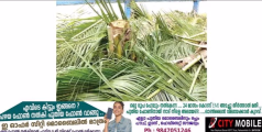ടച്ചിങ് വെട്ടിന്റെ പേരിൽ വെട്ടിനിരത്തൽ