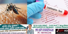 പത്തനംതിട്ട ജില്ലയിൽ പിടിമുറുക്കി എലിപ്പനിയും ഡെങ്കിയും