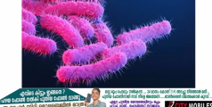 പത്തനംതിട്ട ആറന്മുളയിൽ  വീണ്ടും ഷിഗല്ലെ സ്ഥിരീകരിച്ചു
