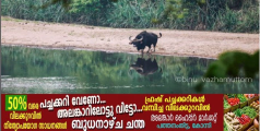 കോന്നി-അച്ചൻകോവിൽ വനപാതയിൽ ഇനി യാത്രയ്ക്ക് പാസ് നിർബന്ധം