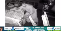 പത്തനംതിട്ട തിരുവല്ലയില്‍ വഴിയോര കച്ചവട കേന്ദ്രങ്ങളില്‍ മോഷണം; മോഷ്ടാവിന്‍റെ ദൃശ്യങ്ങൾ സി.സി.ടി.വി.യില്‍