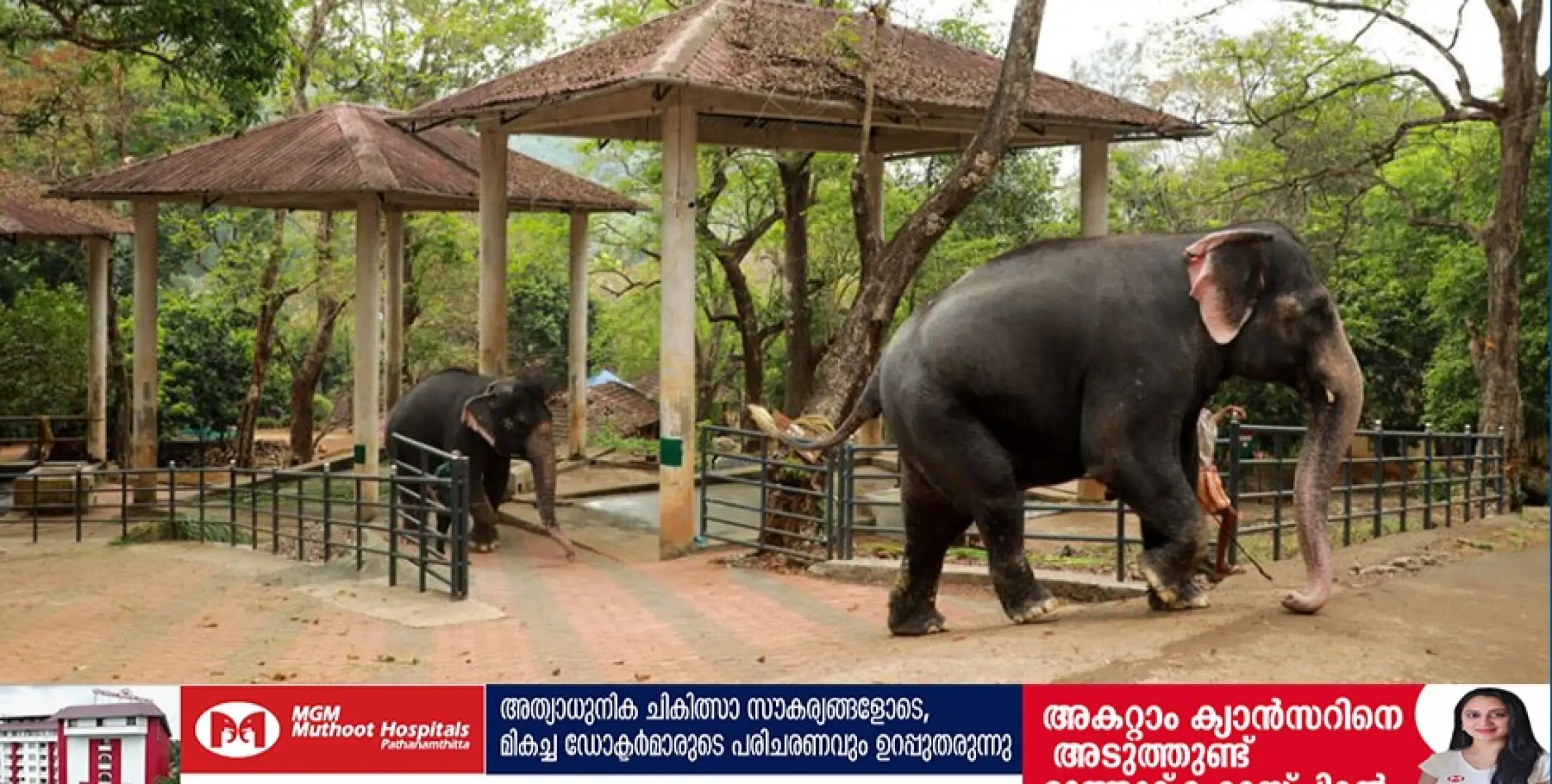 കോന്നി ഇക്കോ ടുറിസം സെന്റർ പ്രവർത്തന സമയം പുനഃക്രമീകരിച്ചു 