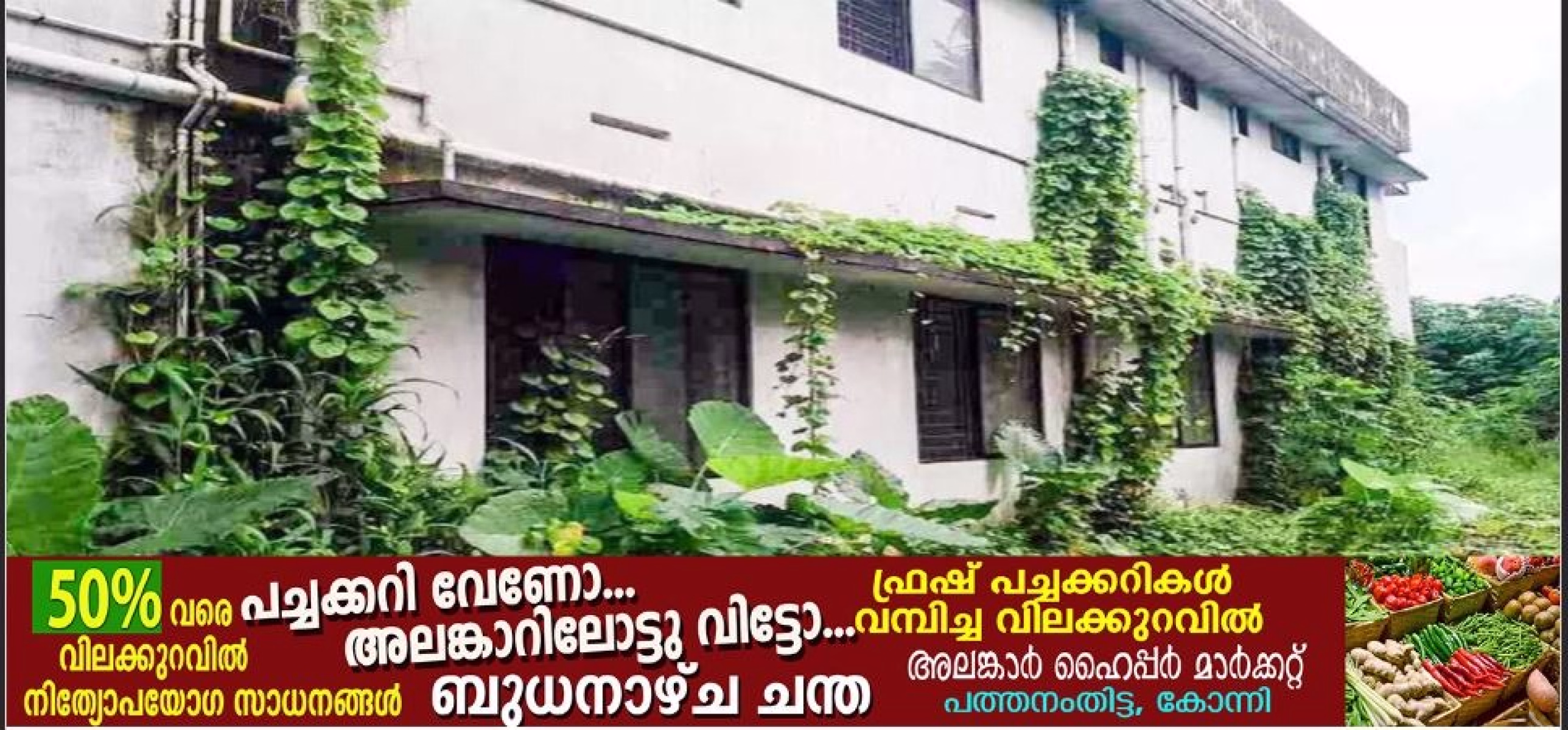 കാടുകയറി കെ.എസ്.ആർ.ടി.സി കോന്നി ഡിപ്പോ