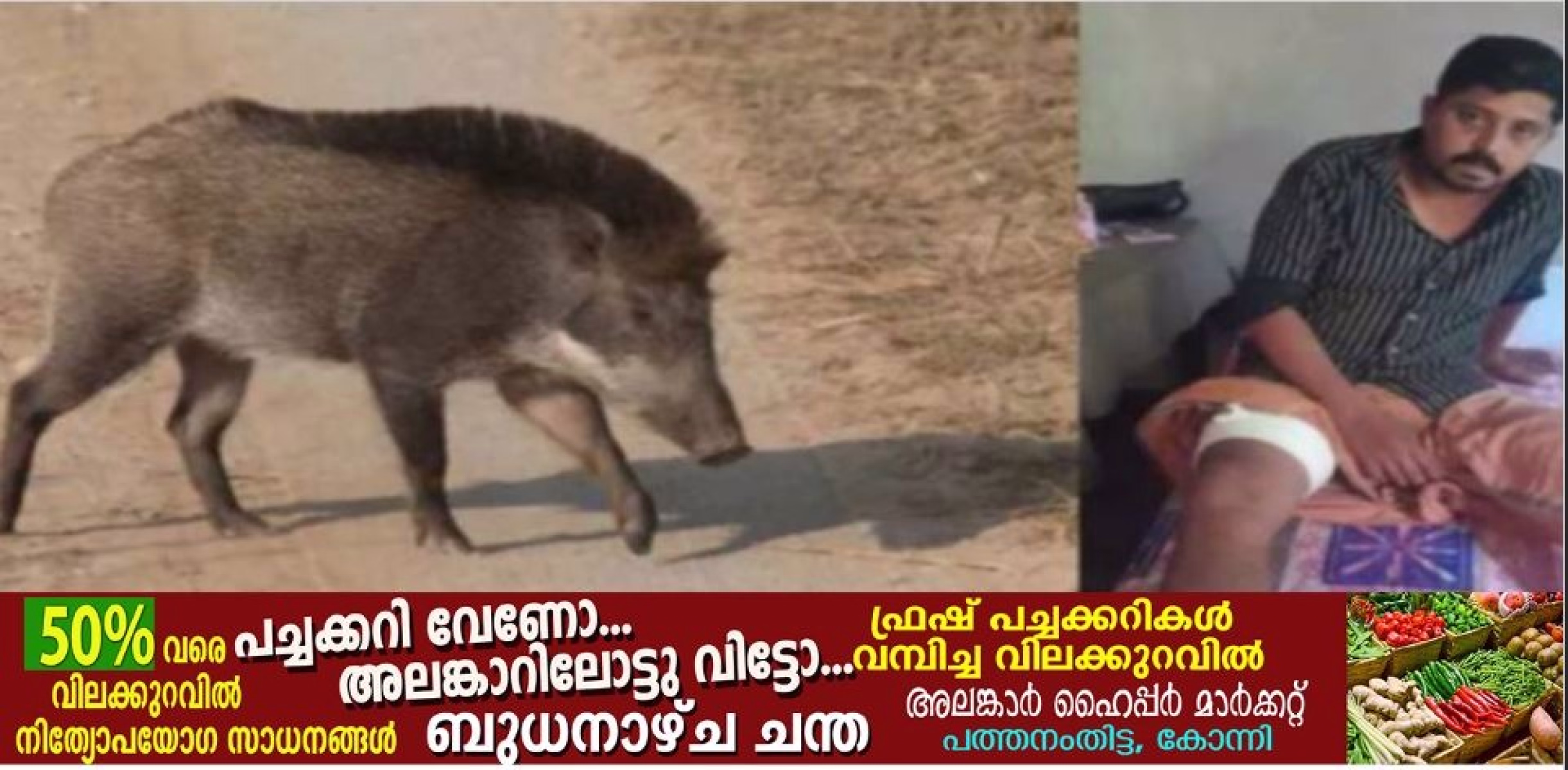  കോന്നി ഊട്ടുപാറയില്‍ കാട്ടുപന്നി ആക്രമണത്തില്‍ യുവാവിന് പരിക്കേറ്റു