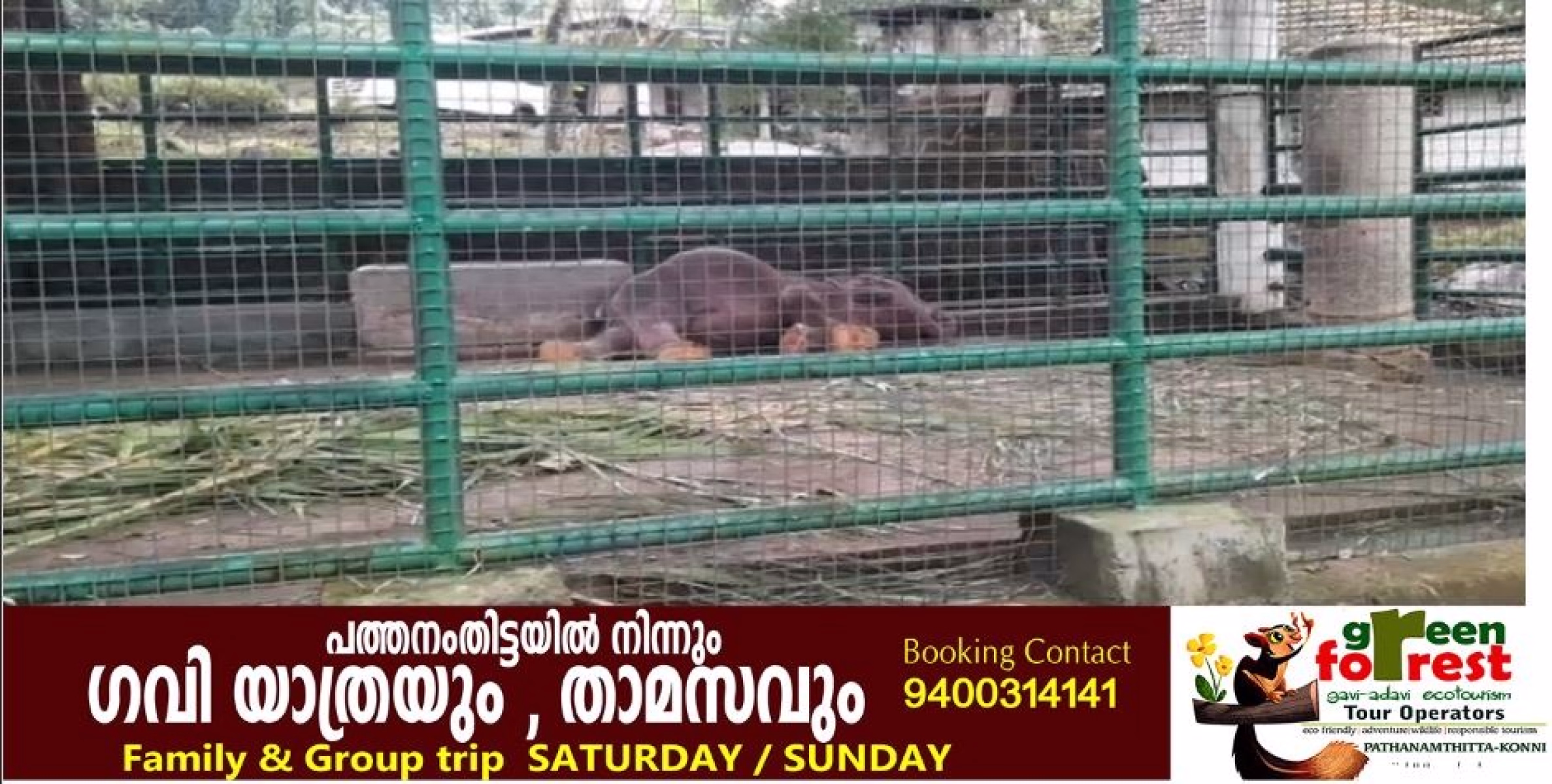  കോന്നി ആനക്കൂട്ടിലെ കുട്ടിയാന കൊച്ചയ്യപ്പൻ ചരിഞ്ഞു