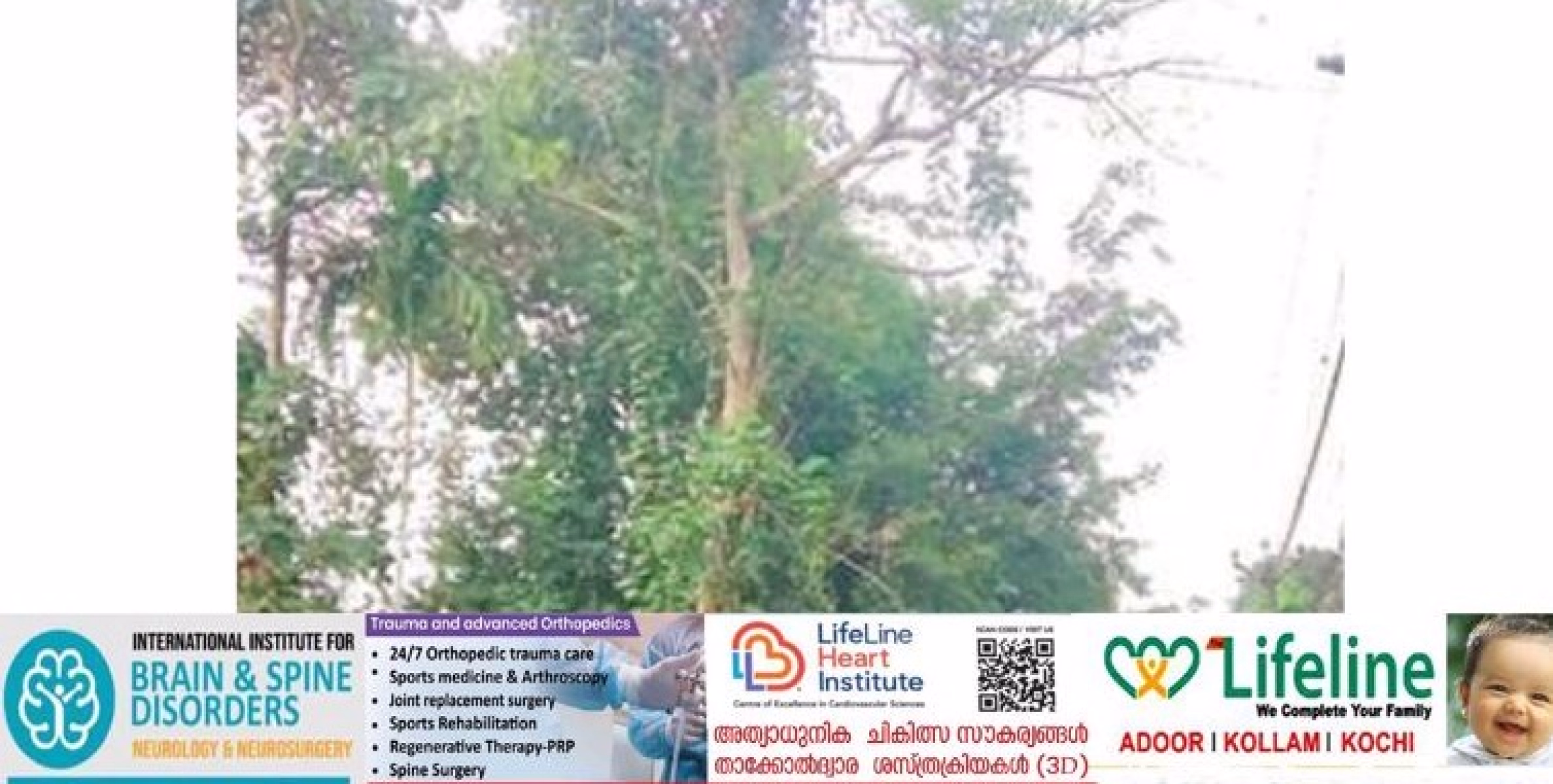 റോഡരികിലെ ജീർണാവസ്ഥയിലായ മരം അപകട ഭീഷണിയാകുന്നു