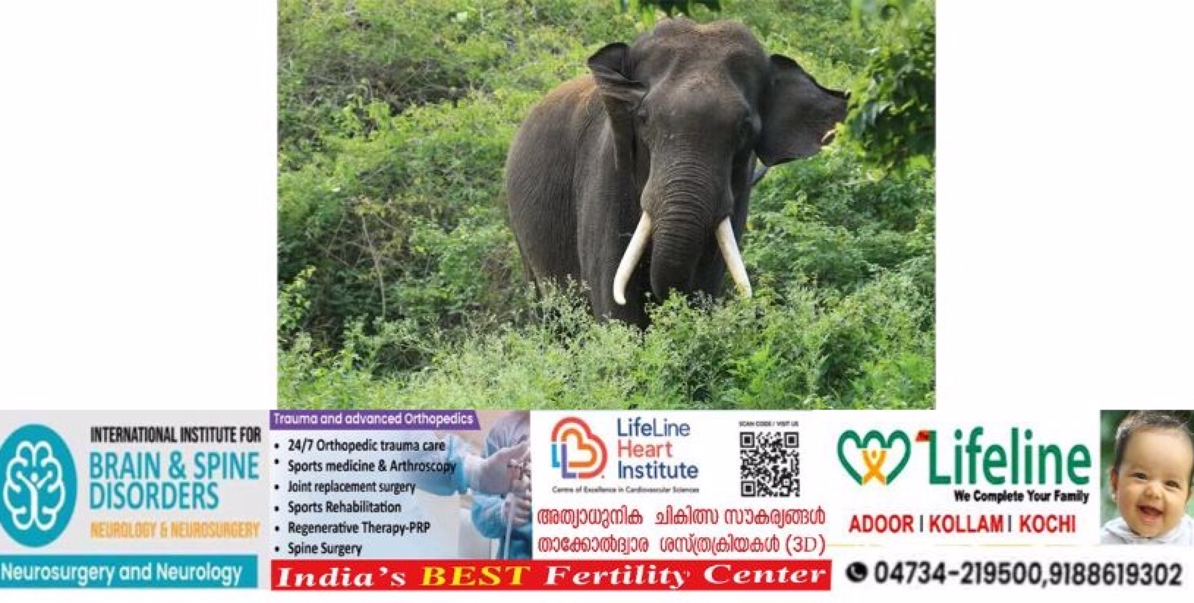 അ​രു​വാ​പ്പു​ലം ഗ്രാ​മ​പ​ഞ്ചാ​യ​ത്തി​ലെ ക​ല്ലേ​ലി ചെ​ളി​ക്കു​ഴി​യി​ൽ കാ​ട്ടാ​ന ആ​ക്ര​മ​ണ​ത്തി​ൽ ല​ക്ഷ​ങ്ങ​ളു​ടെ നാ​ശ​ന​ഷ്‌​ടം