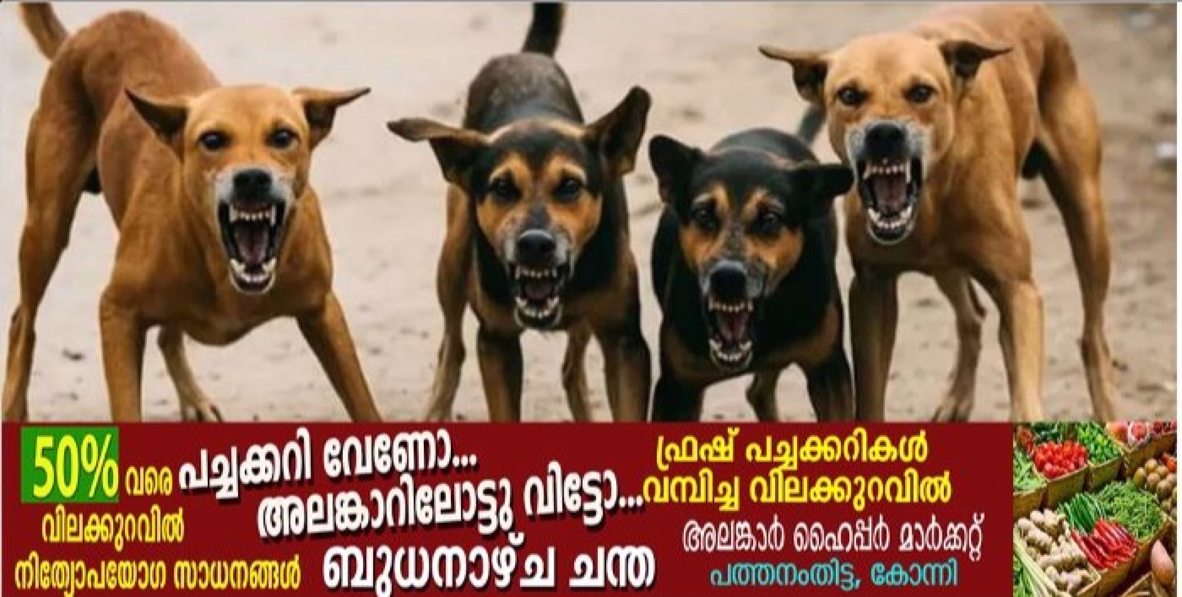 തെരുവു നായ നാട്ടുകാരെ വീണ്ടും ആക്രമിച്ചു; കുഞ്ഞിന്റെ കാൽ കടിച്ചു കീറിയ ; നിരവധി പേർക്ക് പരുക്ക്