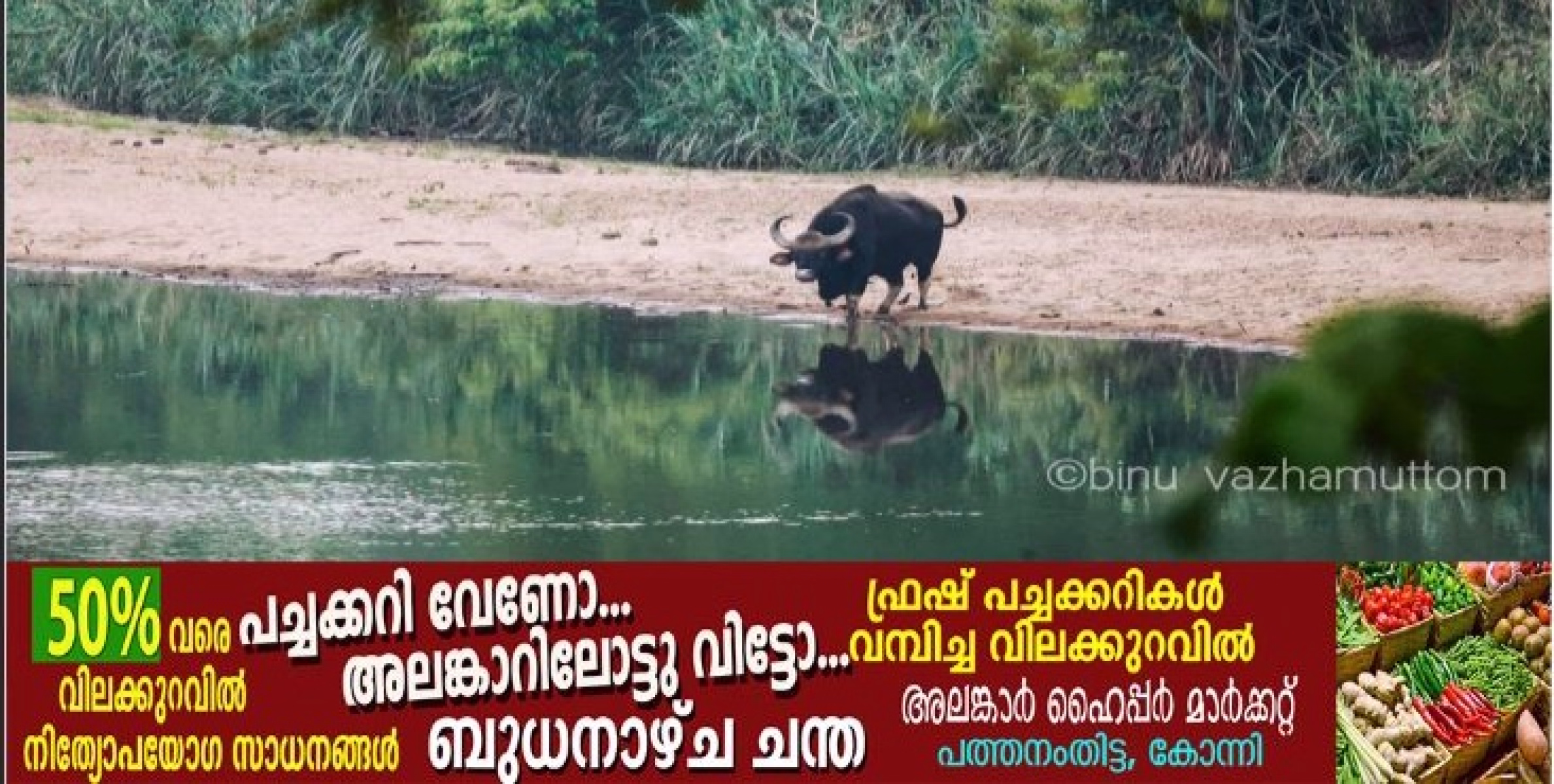 കോന്നി-അച്ചൻകോവിൽ വനപാതയിൽ ഇനി യാത്രയ്ക്ക് പാസ് നിർബന്ധം