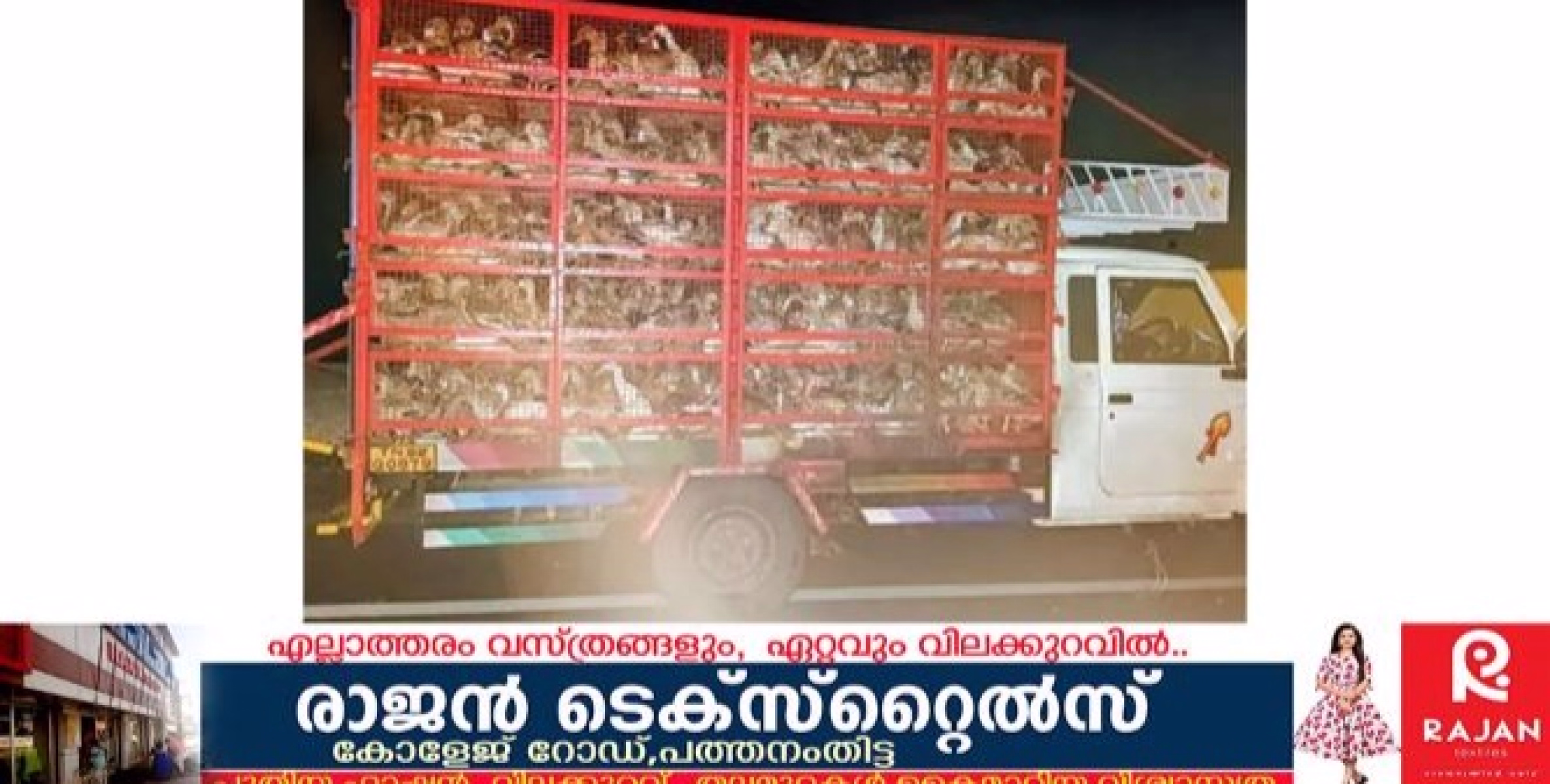 കത്താൻ  തുടങ്ങിയ പിക്കപ്പിൽ നിന്ന് ഇരുന്നൂറോളം താറാവുകളെ രക്ഷിച്ച്  പോലീസുകാരനും സുഹൃത്തും 