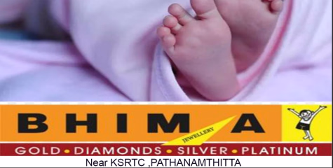 ഇരുപത്തൊന്നു വയസുകാരി വീട്ടില്‍ പ്രസവിച്ചു; മെഴുവേലി ആലക്കോട്ട് നവജാതശിശുവിന്റെ മൃതദേഹം പൊന്തക്കാട്ടില്‍