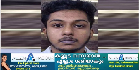  ഇൻസ്റ്റഗ്രാമിൽ പരിചയപ്പെട്ട പെൺകുട്ടിയോട് ലൈംഗികാതിക്രമം: യുവാവ് റിമാൻഡിൽ