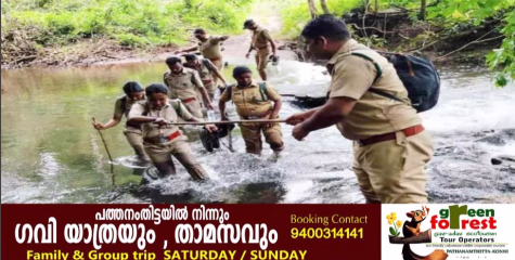  കാട്ടാനകളെ തുരത്തി; എ​ട്ടോ​ളം വ​ന​പാ​ല​ക​ർ​ക്ക് നി​സ്സാ​ര പ​രി​ക്കേ​റ്റു