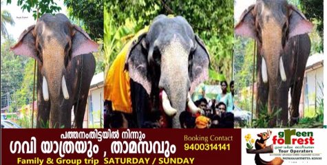  ഓമല്ലൂര്‍ മണികണ്‌ഠന്‍ ചരിഞ്ഞു