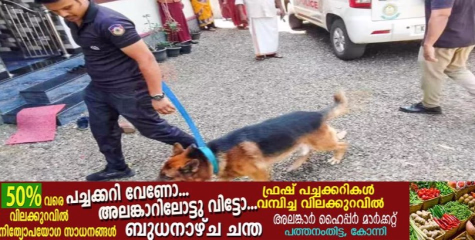 കുരമ്പാലയിൽ മോഷണ പരമ്പര; ആറിടത്ത്​ മോഷണശ്രമം, ഒരുവീട്ടിൽ കവർച്ച