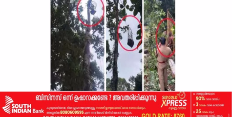 80 അടിയോളം ഉയരമുള്ള മരത്തിൽ കുടുങ്ങിയ ഇതര സംസ്ഥാനക്കാരനായ മരംവെട്ട് തൊഴിലാളിക്ക് രക്ഷകരായി അഗ്നിരക്ഷാ സേന.