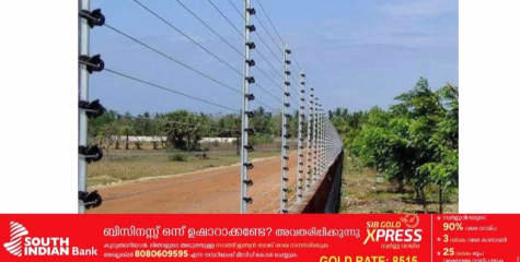 വന്യമൃഗശല്യത്തിന് പരിഹാരമായി വനാതിർത്തികളിൽ വനംവകുപ്പ് നിർമിച്ചത് ഗുണനിലവാരം കുറഞ്ഞ സോളാർ വേലികളെന്ന് ആക്ഷേപം 