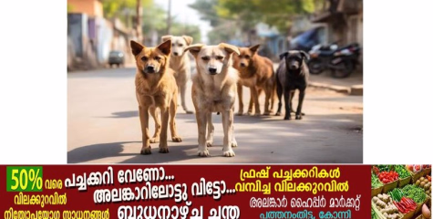 വ​ന്ധ്യം​ക​ര​ണം ന​ട​ത്തി പൊ​തു​സ്​​ഥ​ല​ങ്ങ​ളി​ൽ​നി​ന്ന്​ തെ​രു​വു​നാ​യ്ക്ക​ളെ പൂ​ർ​ണ​മാ​യി നീ​ക്ക​ണ​മെ​ന്ന്​ സു​പ്രിം​കോ​ട​തി ഉ​ത്ത​ര​വി​ട്ടി​രി​ക്കെ,പ​ത്ത​നം​തി​ട്ട ജി​ല്ല​യി​ൽ എ.​ബി.​സി പ​ദ്ധ​തി നി​ല​ച്ചി​ട്ട്​ മൂ​ന്നു​ വ​ർ​ഷം.