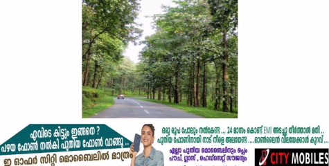 ശബരിമല തീർഥാടനം തുടങ്ങാൻ ദിവസങ്ങൾ മാത്രം ബാക്കി നിൽക്കെ ശബരിമലയിലെ തീർഥാടനപാതയിലെ 82 പ്രധാന റോഡുകളുടെ നവീകരണത്തിന് സർക്കാരിന്റെ ഭരണാനുമതി. 