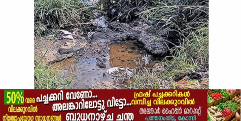 തിരുവല്ല  ബൈപാസിലും സമീപപ്രദേശത്തും മാലിന്യംതള്ളൽ അതിരൂക്ഷം