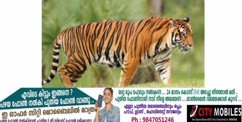  കടുവ ഭീതിയിലാണു ചെങ്ങറ നിവാസികൾ. 