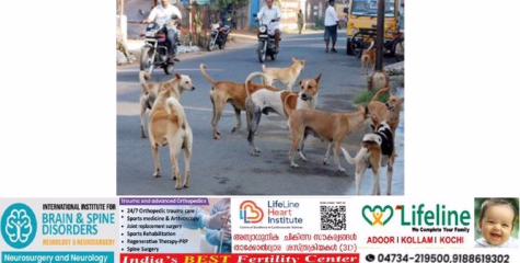 വള്ളിക്കോട് ഗ്രാമപഞ്ചായത്തിൽ തെരുവുനായ ശല്യം രൂക്ഷം