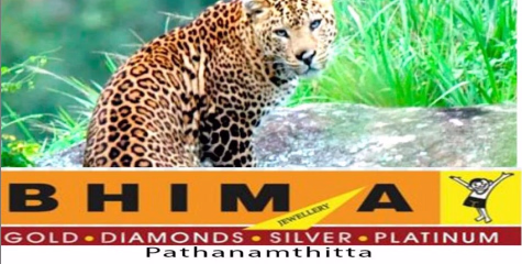   കെണി വെച്ച ആടിനെ കൊന്ന പുലി കുടുങ്ങാതെ രക്ഷപ്പെട്ടു; കൂട് സ്ഥാപിച്ചതിലെ അപാകതയെന്ന് നാട്ടുകാർ