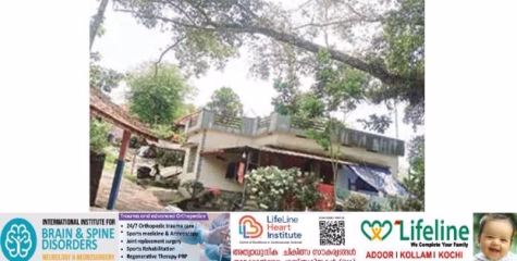ആൽമരത്തിന്റെ കൊമ്പുകൾ എം.ടി.എൽ.പി. സ്കൂളിലെ വിദ്യാർഥികൾക്കും യാത്രക്കാർക്കും ഭീഷണിയാകുന്നു