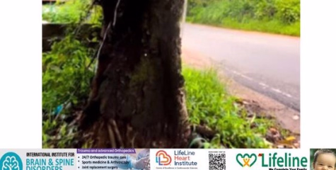 അധ്യന വര്‍ഷം ആരംഭിച്ചിട്ടും മഴയെത്തിയിട്ടും ജില്ലയിലെ അപകടകരമായ മരങ്ങള്‍ മുറിക്കാന്‍ നടപടിയില്ല