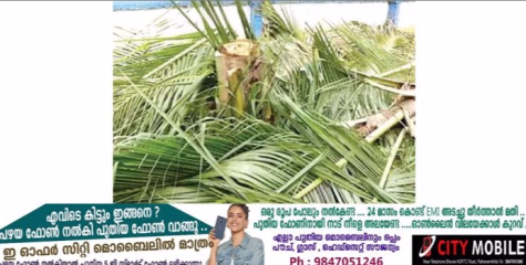 ടച്ചിങ് വെട്ടിന്റെ പേരിൽ വെട്ടിനിരത്തൽ
