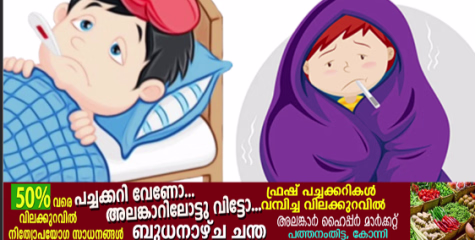പത്തനംതിട്ടയിൽ ഇൻഫ്ലുവൻസ പടരുന്നു; 10 ദിവസത്തിനിടയിൽ 25 പേർക്ക് രോഗബാധ, ജാഗ്രതാ നിർദ്ദേശം