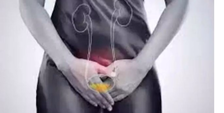 സ്ത്രീകളില്‍ യൂറിനറി ഇന്‍ഫെക്ഷന്‍ കിഡ്‌നി തകരാറിലാക്കിയേക്കാം