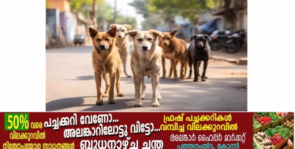 വ​ന്ധ്യം​ക​ര​ണം ന​ട​ത്തി പൊ​തു​സ്​​ഥ​ല​ങ്ങ​ളി​ൽ​നി​ന്ന്​ തെ​രു​വു​നാ​യ്ക്ക​ളെ പൂ​ർ​ണ​മാ​യി നീ​ക്ക​ണ​മെ​ന്ന്​ സു​പ്രിം​കോ​ട​തി ഉ​ത്ത​ര​വി​ട്ടി​രി​ക്കെ,പ​ത്ത​നം​തി​ട്ട ജി​ല്ല​യി​ൽ എ.​ബി.​സി പ​ദ്ധ​തി നി​ല​ച്ചി​ട്ട്​ മൂ​ന്നു​ വ​ർ​ഷം.