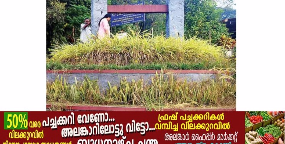 പൊതുകിണർ വൃത്തിയാക്കി സംരക്ഷിക്കുന്ന പ്രവൃത്തിയുമായി മുണ്ടിയപ്പള്ളി സിഎംഎസ് ഹൈസ്‌കൂൾ