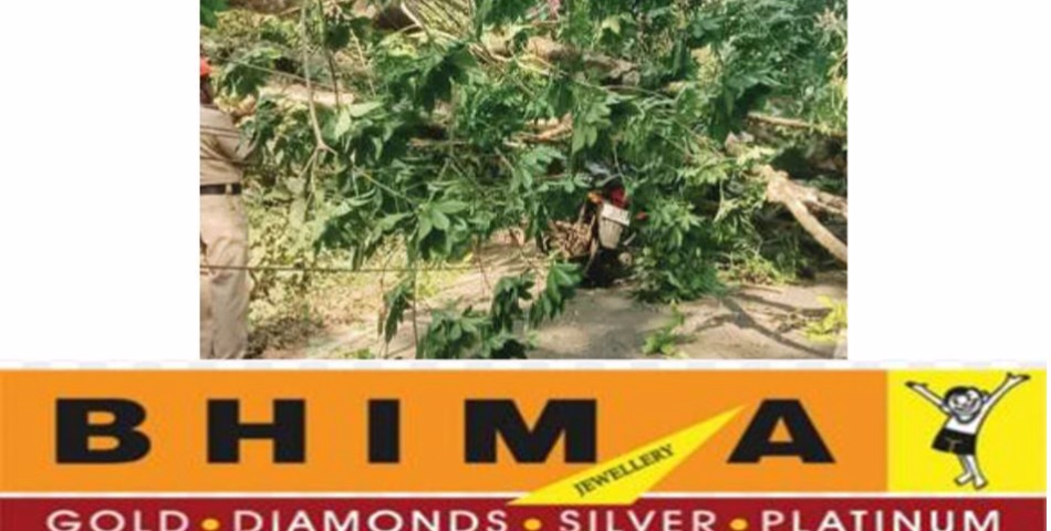 സീതത്തോട്‌-ചിറ്റാർ പാതയിൽ ഓടിക്കൊണ്ടിരുന്ന ബൈക്കിന്‌ മുകളിലേക്ക്‌ മരംവീണ്‌ യുവാവിന്‌ പരിക്ക്‌