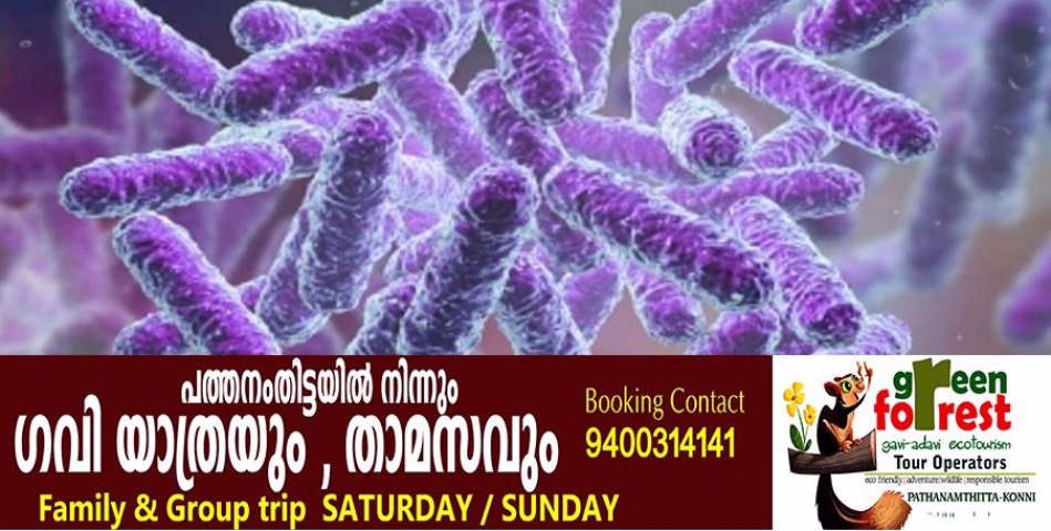 കോഴിക്കോട് ഷിഗല്ല ഭീതിയിൽ; മൂന്നര വയസ്സുകാരി മരിച്ചു, കൂടുതൽ കുട്ടികൾക്ക് രോഗലക്ഷണം
