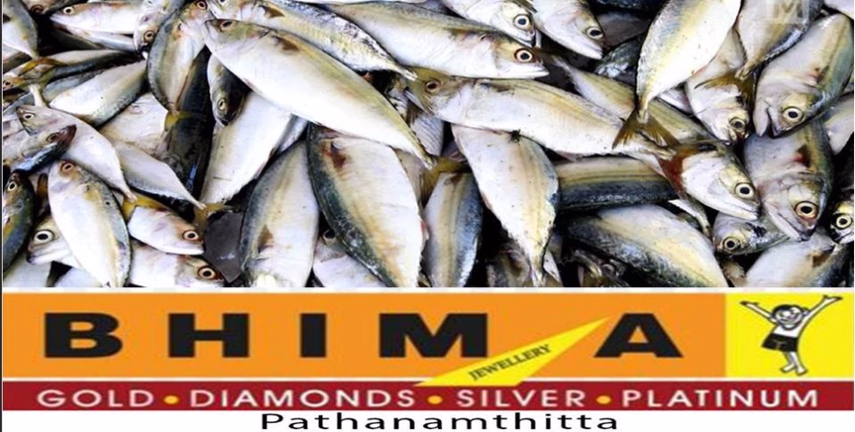 ചുട്ടുപൊള്ളുന്ന തീരക്കടൽ; മീനുകൾ ആഴക്കടലിലേക്ക്, വിപണിയിൽ വൻ വിലക്കയറ്റം