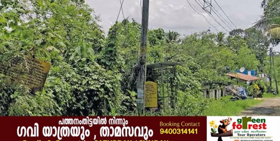 സ്വകാര്യ വ്യക്തികളുടെ വസ്തുവിൽ കാട് തെളിക്കണമെന്ന് അറിയിക്കുമ്പോഴും സർക്കാർ വസ്തുവിൽ കാട് തെളിക്കാതെ അധികൃതർ.